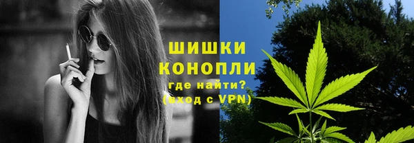 молекула духа Михайлов
