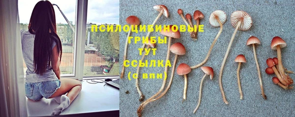гашик Медногорск