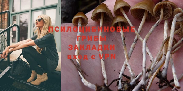 молекула духа Михайлов