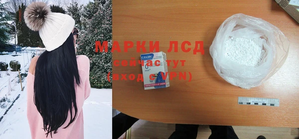 молекула духа Михайлов