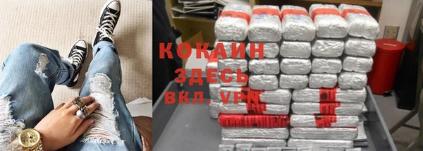 твердый Мегион