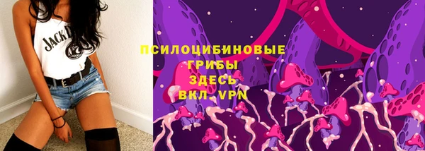 молекула духа Михайлов