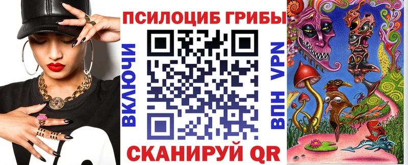 где можно купить наркотик  Лермонтов  нарко площадка формула  Псилоцибиновые грибы Psilocybine cubensis 